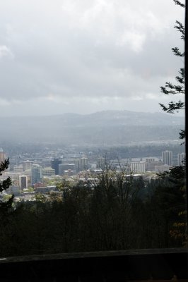 DSC_6703.JPG