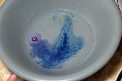 DSC_6821.JPG
