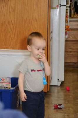 DSC_7019.JPG