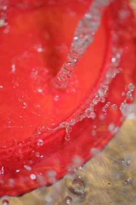 DSC_7220.JPG