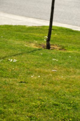 DSC_7316.JPG