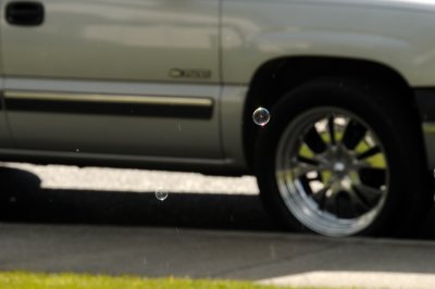 DSC_7333.JPG