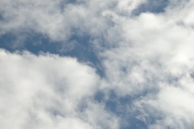 DSC_7335.JPG