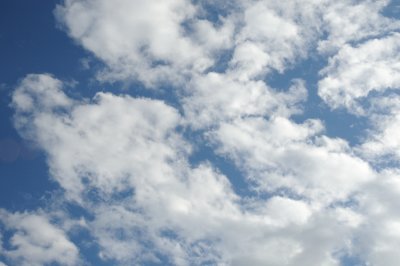 DSC_7337.JPG