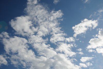 DSC_7338.JPG