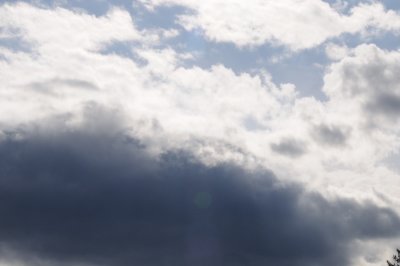 DSC_7339.JPG