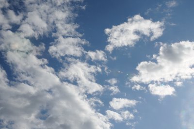 DSC_7341.JPG