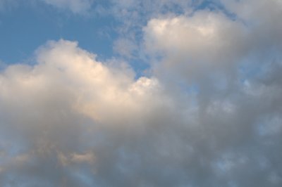 DSC_7343.JPG
