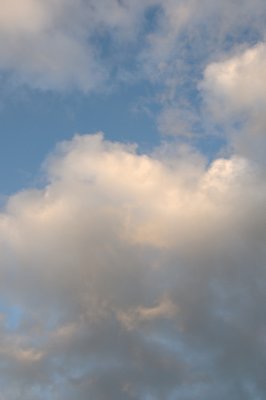 DSC_7344.JPG