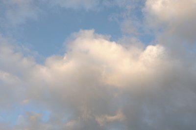DSC_7345.JPG