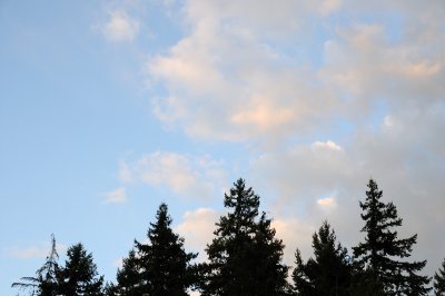 DSC_7346.JPG