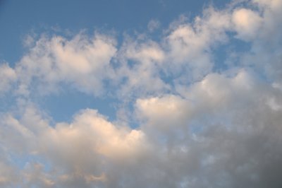DSC_7347.JPG