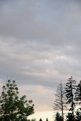DSC_7348.JPG