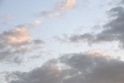 DSC_7349.JPG