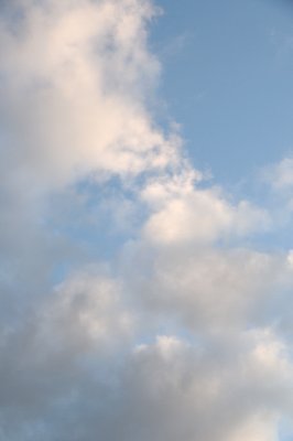 DSC_7350.JPG