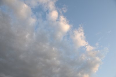 DSC_7352.JPG