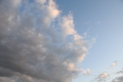 DSC_7353.JPG