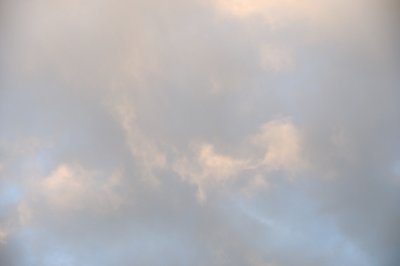 DSC_7354.JPG
