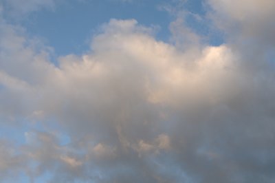 DSC_7355.JPG