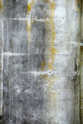 DSC_7467.JPG