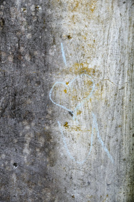 DSC_7477.JPG