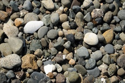 DSC_7492.JPG
