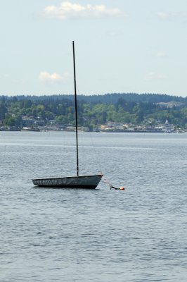 DSC_7493.JPG