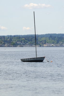 DSC_7494.JPG