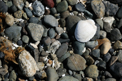 DSC_7496.JPG