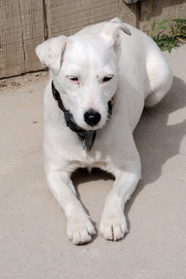DSC_7697.JPG