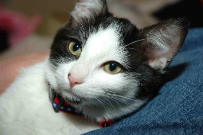 DSC_3166.jpg