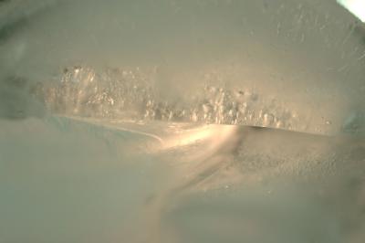 DSC_5799.jpg