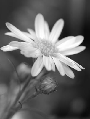 DSC_8151.jpg