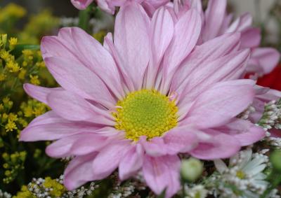 DSC_8152.jpg