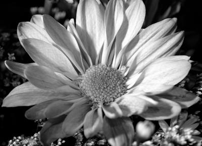 DSC_8153.jpg