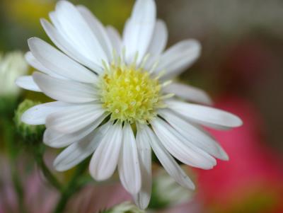 DSC_8164.jpg