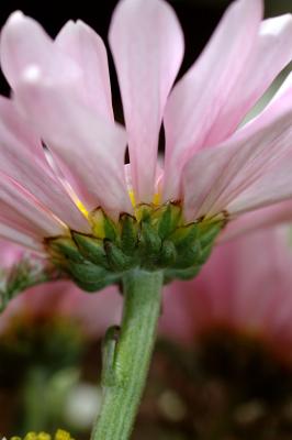 DSC_8179.jpg