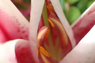 DSC_8361.jpg