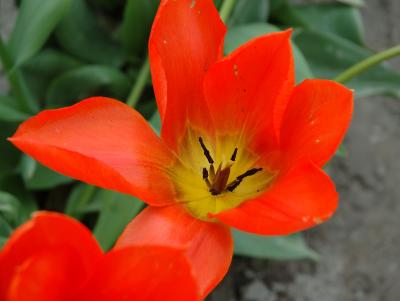 DSC_9047.jpg