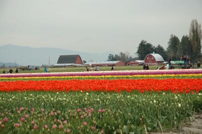 DSC_9114.jpg