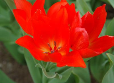 DSC_9154.jpg