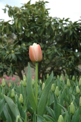 DSC_9163.jpg