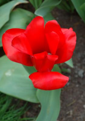 DSC_9191.jpg