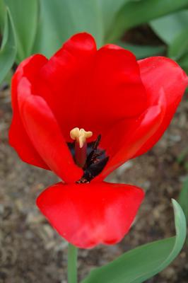 DSC_9209.jpg