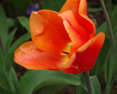 DSC_9226.jpg