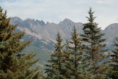 DSC_0708.jpg