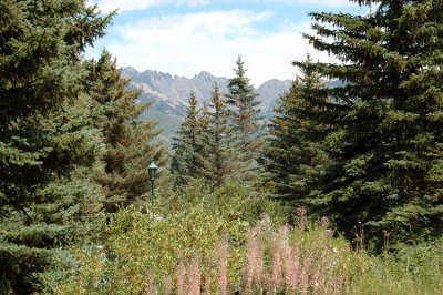 DSC_0709.jpg