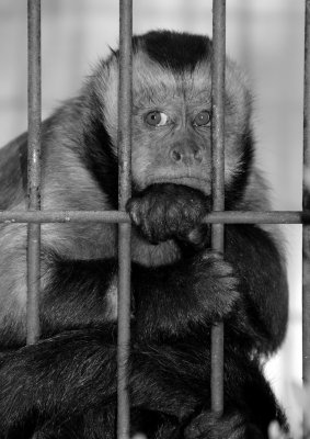 DSC_0173bw.jpg