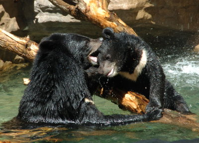 DSC_0190.jpg
