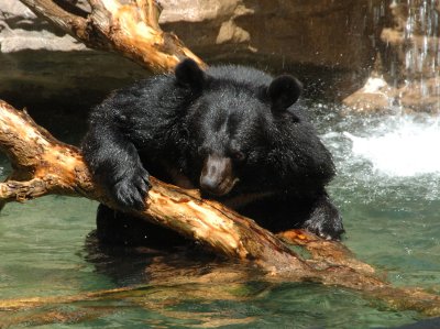 DSC_0193.jpg